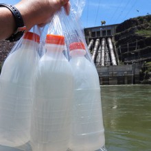 Amostras de água coletadas em rios de usinas hidrelétricas para avaliação molecular